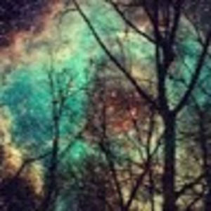 Meet your Posher, Zoe